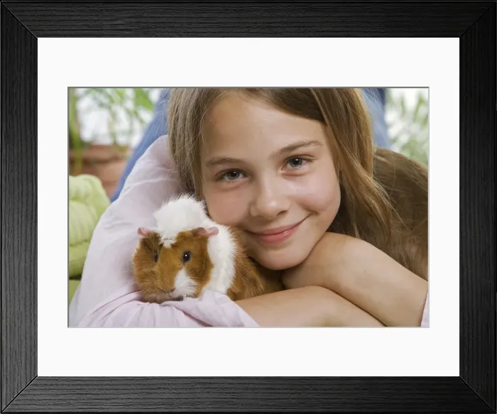 Framed Print : Picture No. 10887925 Framed Print : Picture No. 10887925