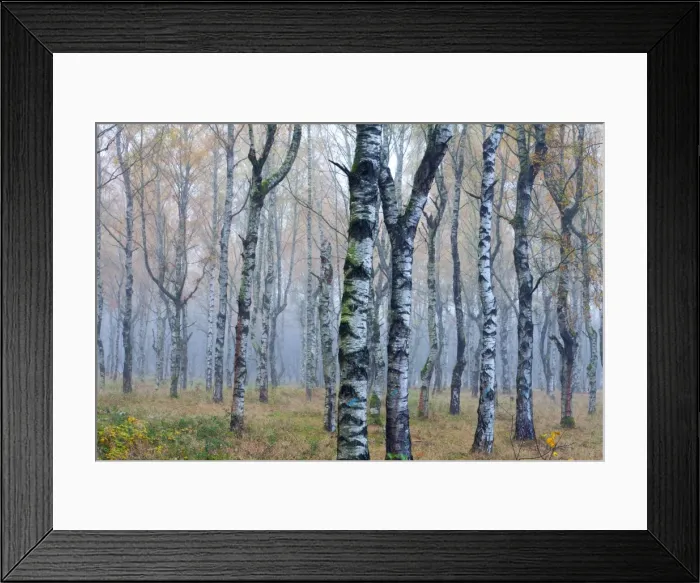 Framed Print : Picture No. 10887317