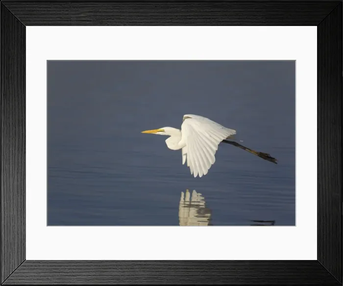 Framed Print : Picture No. 10887257 Framed Print : Picture No. 10887257