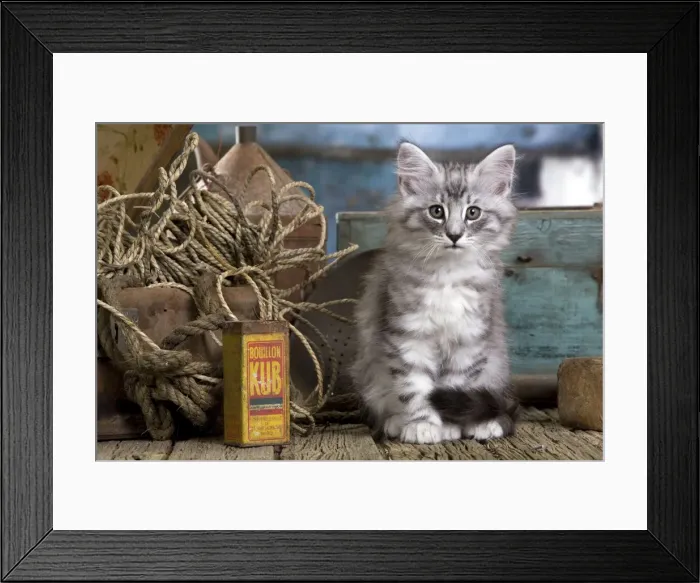 Framed Print : Picture No. 10887777 Framed Print : Picture No. 10887777