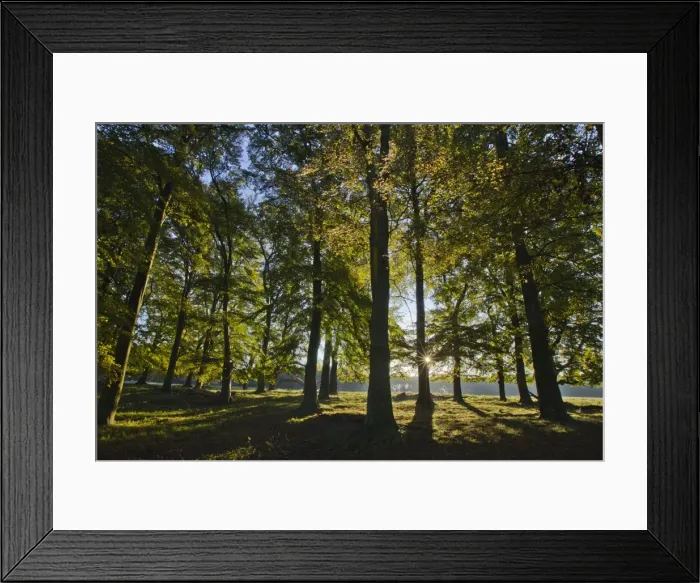 Framed Print : Picture No. 10887314 Framed Print : Picture No. 10887314