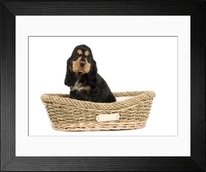 Framed Print : Picture No. 10888012 Framed Print : Picture No. 10888012