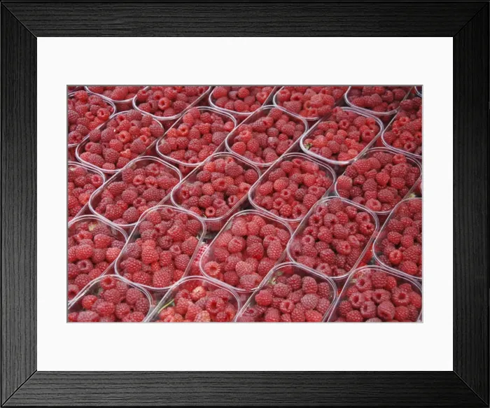 Framed Print : Picture No. 10886731 Framed Print : Picture No. 10886731