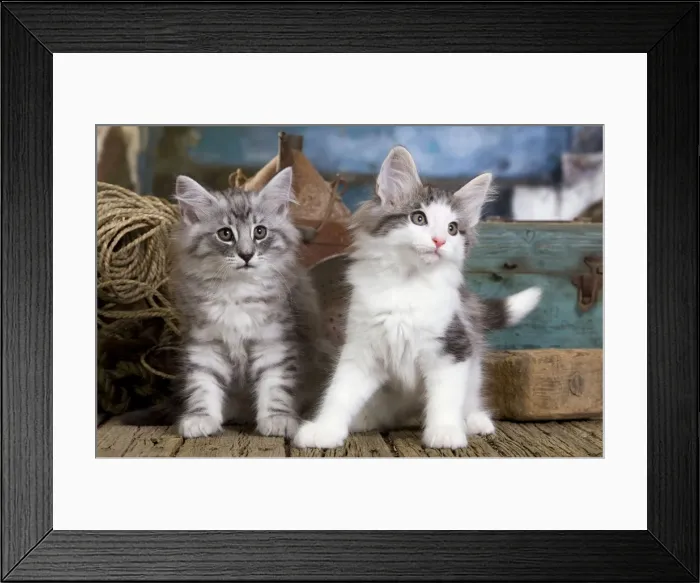 Framed Print : Picture No. 10887781 Framed Print : Picture No. 10887781