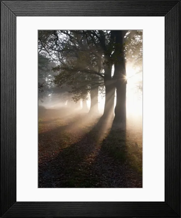 Framed Print : Picture No. 10887308