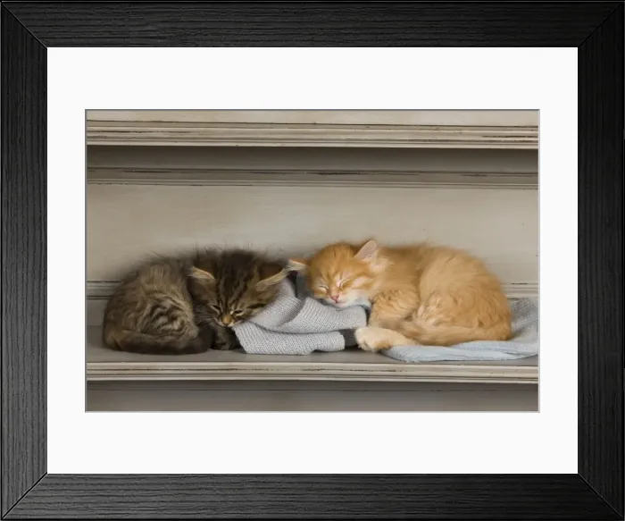 Framed Print : Picture No. 10887722 Framed Print : Picture No. 10887722