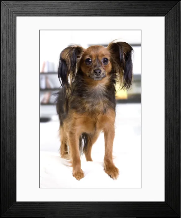 Framed Print : Picture No. 10888024