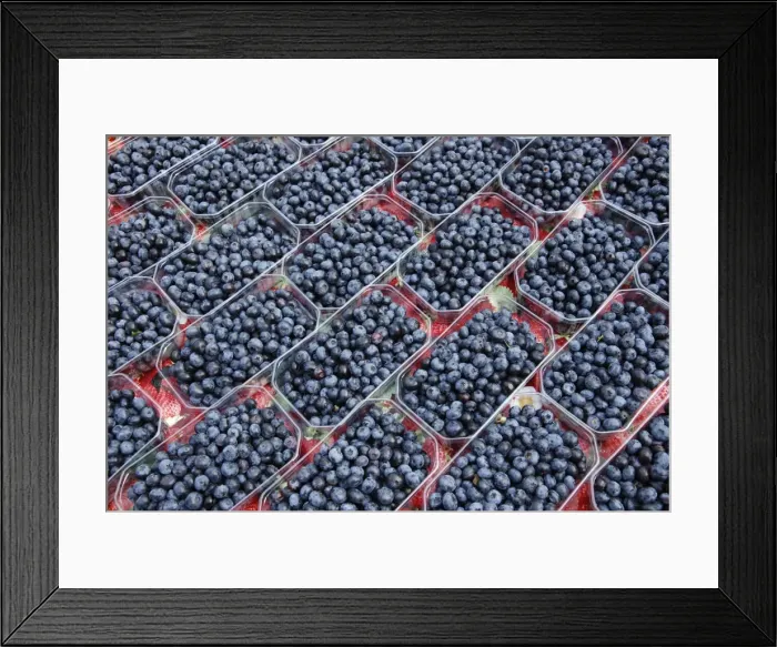 Framed Print : Picture No. 10886726 Framed Print : Picture No. 10886726