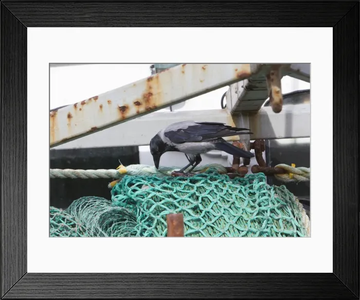 Framed Print : Picture No. 10887327 Framed Print : Picture No. 10887327