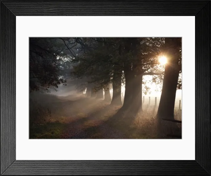 Framed Print : Picture No. 10887307