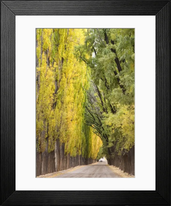 Framed Print : Picture No. 10889152 Framed Print : Picture No. 10889152