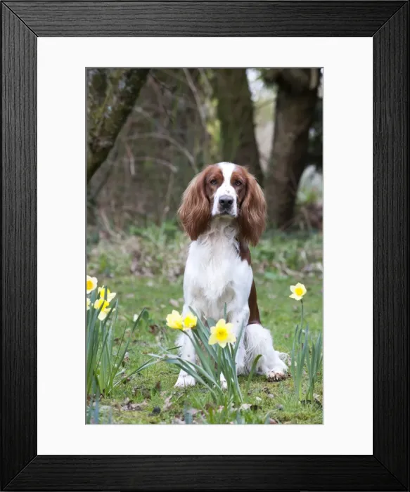 Framed Print : Picture No. 10888910 Framed Print : Picture No. 10888910