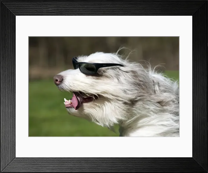 Framed Print : Picture No. 10888902 Framed Print : Picture No. 10888902