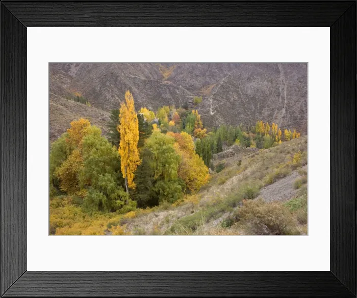 Framed Print : Picture No. 10889150