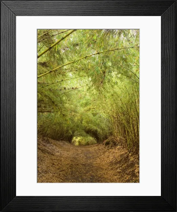Framed Print : Picture No. 10889155 Framed Print : Picture No. 10889155