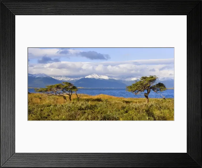 Framed Print : Picture No. 10889158