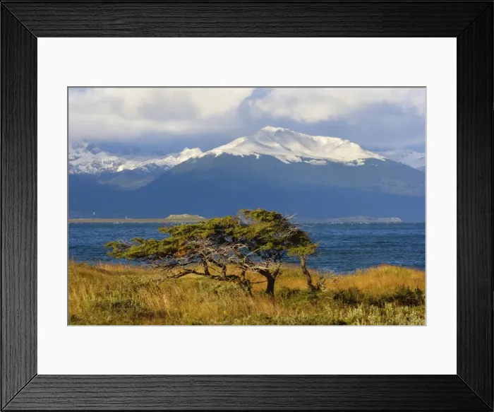 Framed Print : Picture No. 10889159 Framed Print : Picture No. 10889159