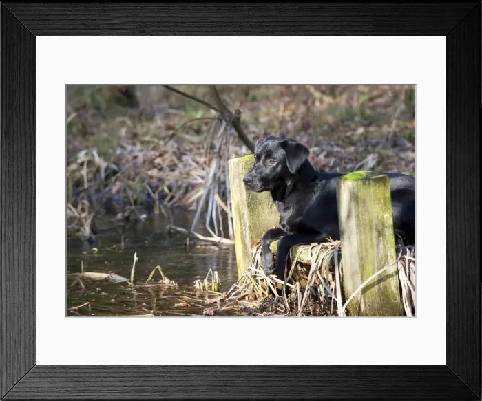Framed Print : Picture No. 10888888 Framed Print : Picture No. 10888888
