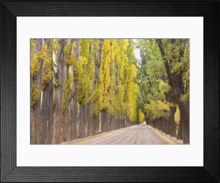 Framed Print : Picture No. 10889151