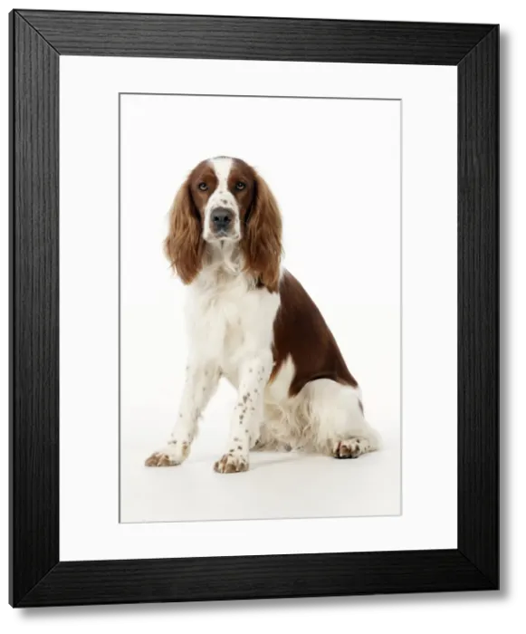 Framed Print : Picture No. 10888905 Framed Print : Picture No. 10888905