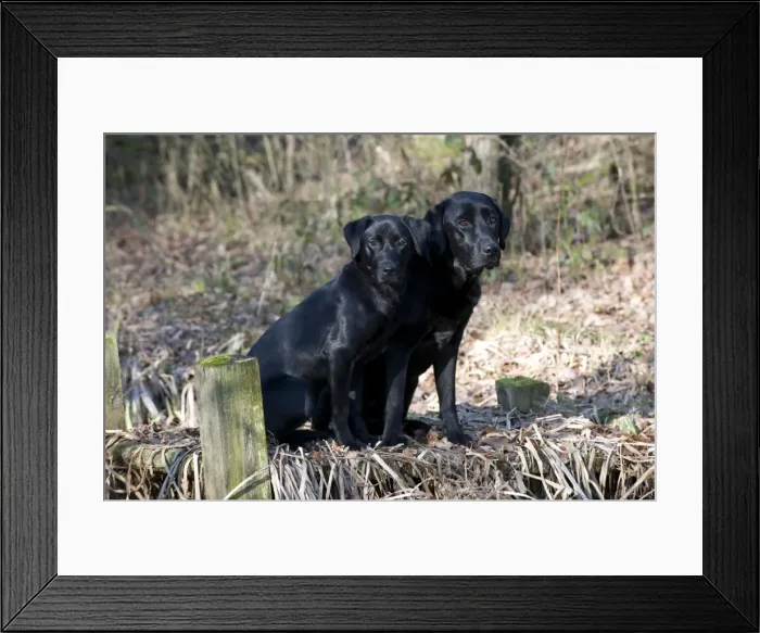 Framed Print : Picture No. 10888887 Framed Print : Picture No. 10888887