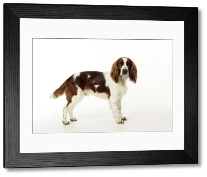 Framed Print : Picture No. 10888903 Framed Print : Picture No. 10888903