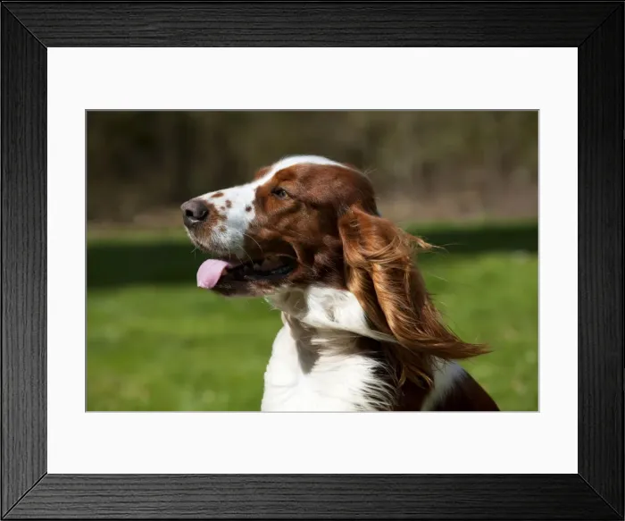 Framed Print : Picture No. 10888915