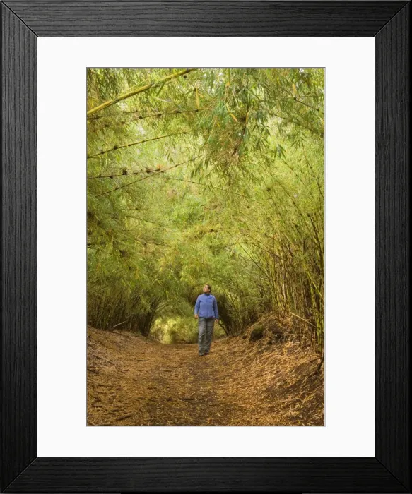 Framed Print : Picture No. 10889156 Framed Print : Picture No. 10889156