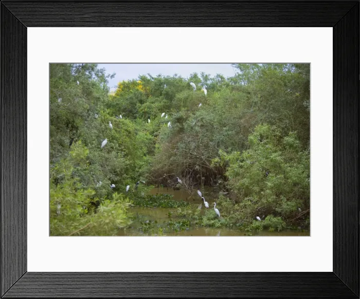 Framed Print : Picture No. 10889162 Framed Print : Picture No. 10889162