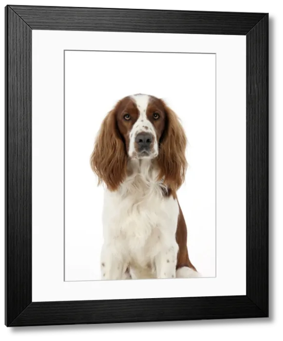 Framed Print : Picture No. 10888906 Framed Print : Picture No. 10888906