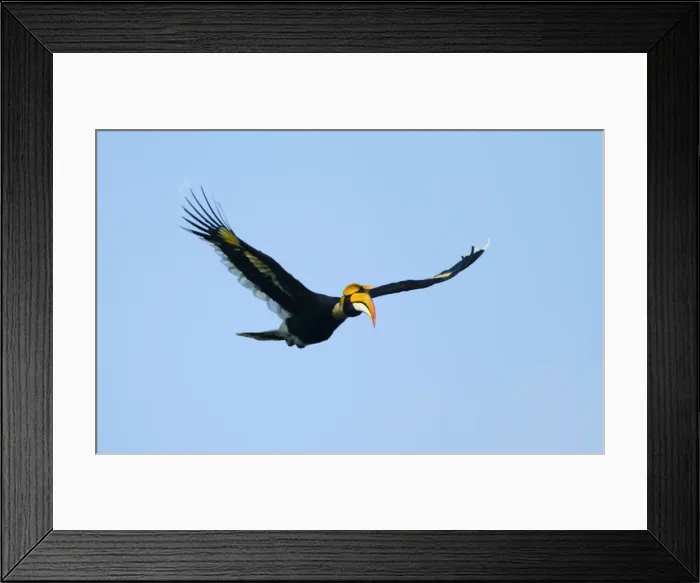 Framed Print : Picture No. 10889966 Framed Print : Picture No. 10889966