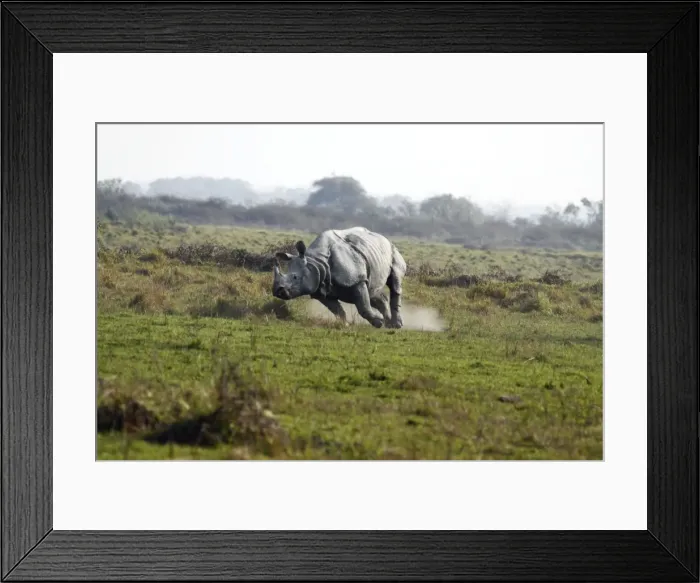 Framed Print : Picture No. 10890003