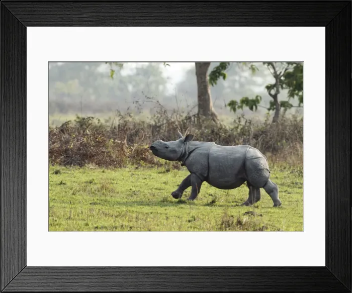 Framed Print : Picture No. 10889982 Framed Print : Picture No. 10889982