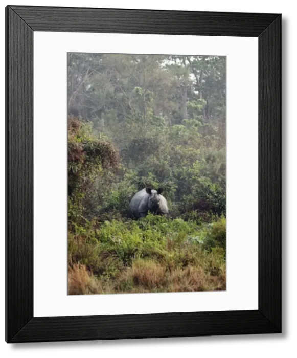 Framed Print : Picture No. 10889968 Framed Print : Picture No. 10889968