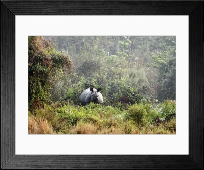 Framed Print : Picture No. 10889984 Framed Print : Picture No. 10889984