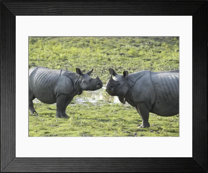 Framed Print : Picture No. 10889975 Framed Print : Picture No. 10889975