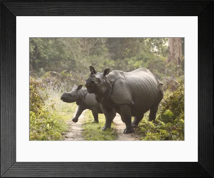 Framed Print : Picture No. 10889969 Framed Print : Picture No. 10889969