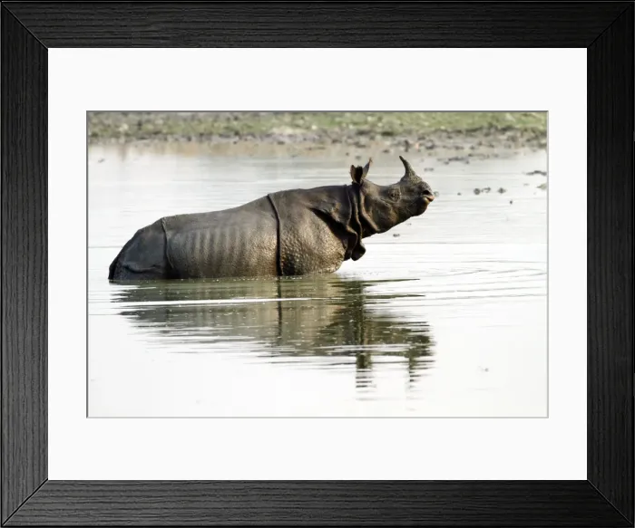 Framed Print : Picture No. 10889994 Framed Print : Picture No. 10889994