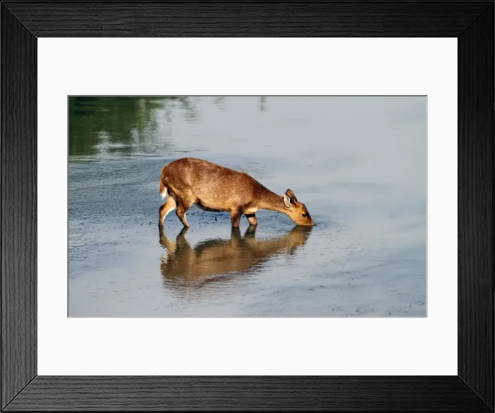 Framed Print : Picture No. 10889983 Framed Print : Picture No. 10889983