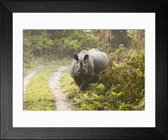 Framed Print : Picture No. 10889980 Framed Print : Picture No. 10889980