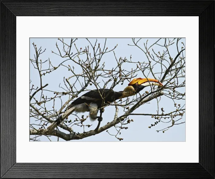 Framed Print : Picture No. 10889974