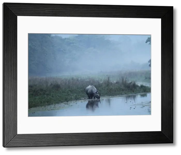 Framed Print : Picture No. 10889962 Framed Print : Picture No. 10889962