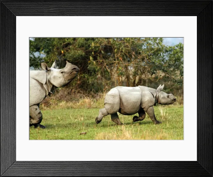 Framed Print : Picture No. 10889992 Framed Print : Picture No. 10889992