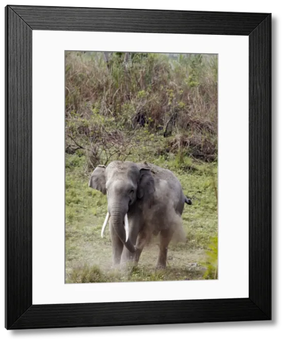 Framed Print : Picture No. 10890004 Framed Print : Picture No. 10890004