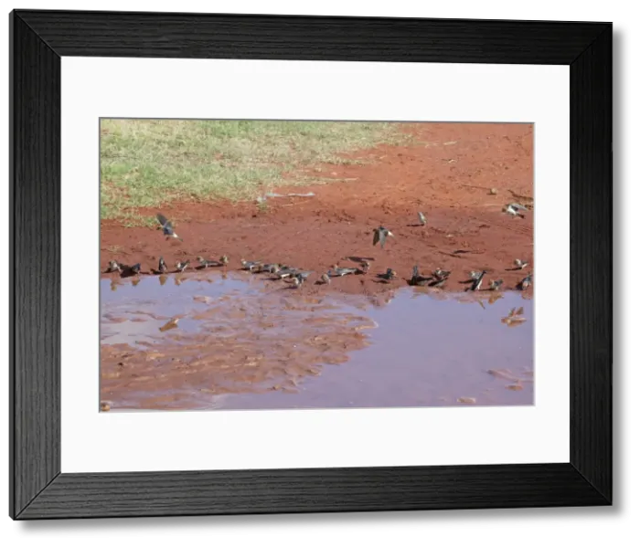 Framed Print : Picture No. 10890617 Framed Print : Picture No. 10890617