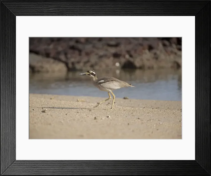 Framed Print : Picture No. 10890596