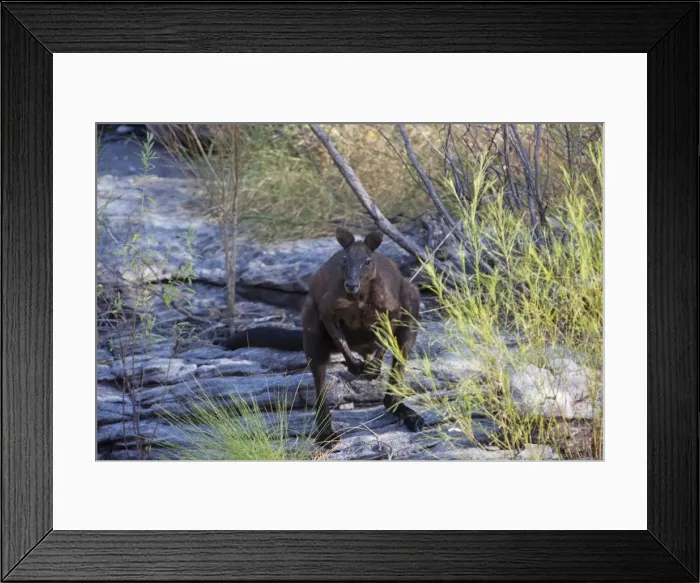 Framed Print : Picture No. 10890600 Framed Print : Picture No. 10890600