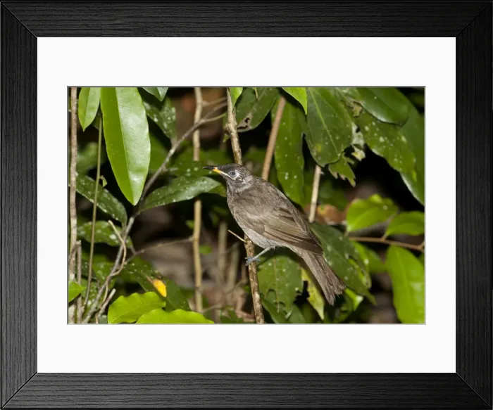 Framed Print : Picture No. 10890604 Framed Print : Picture No. 10890604