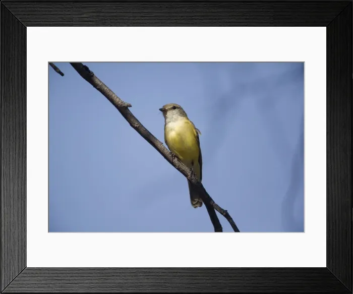 Framed Print : Picture No. 10890637 Framed Print : Picture No. 10890637