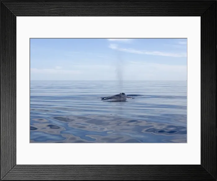 Framed Print : Picture No. 10947702 Framed Print : Picture No. 10947702